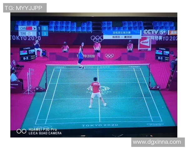 重庆羽毛球队在冠军赛中的战术表现分析与总结